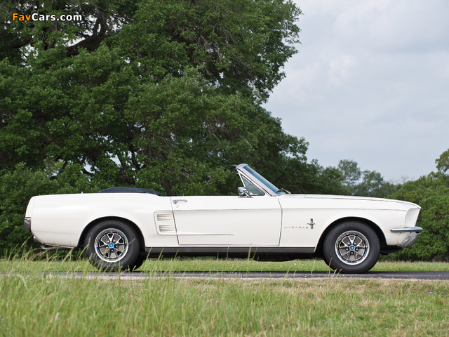 Pictures of Mustang Convertible 1967 (640 x 480)