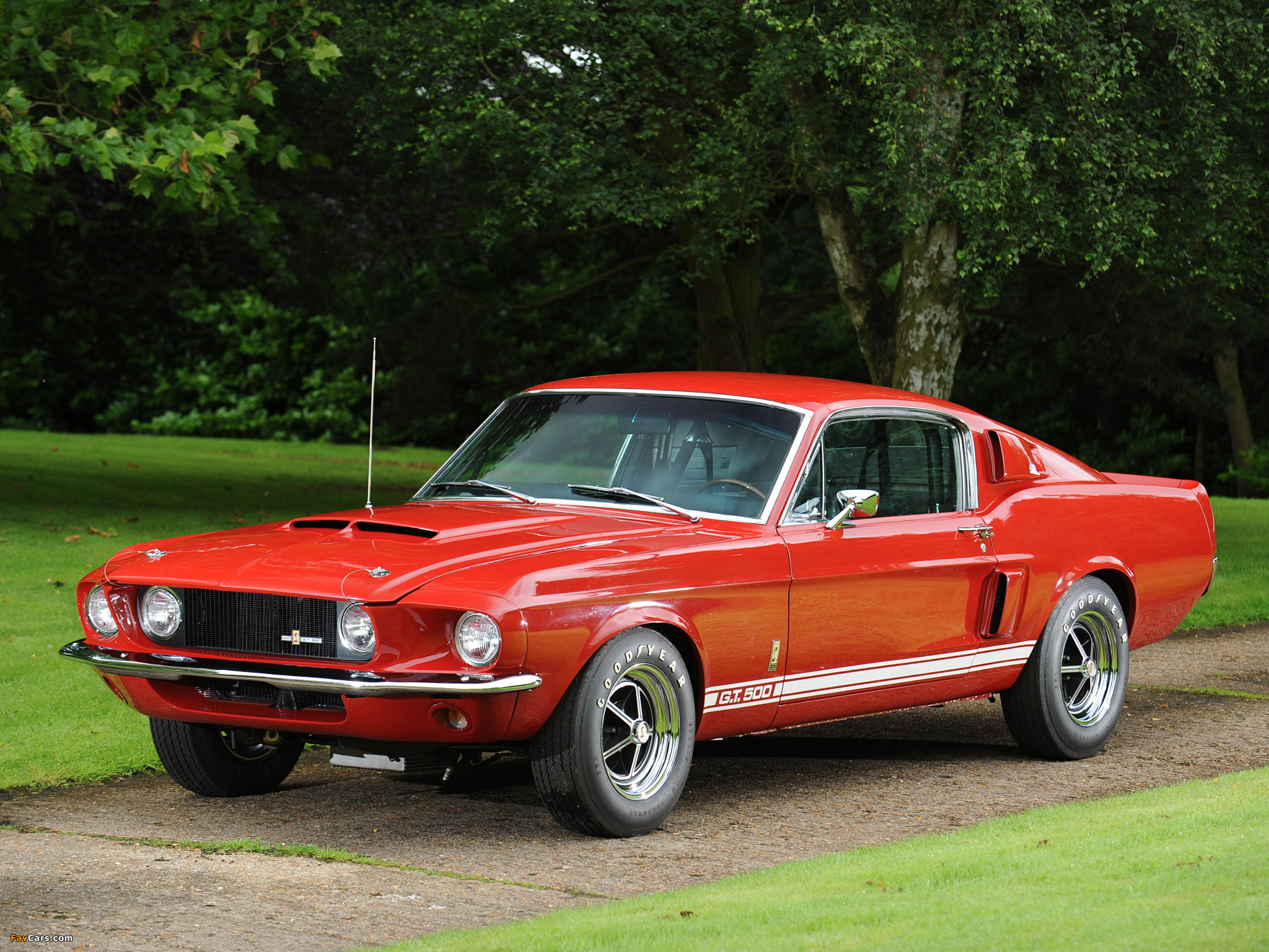 Pictures of Shelby GT500 1967 (2048 x 1536)