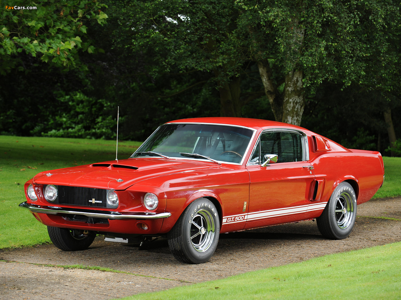 Pictures of Shelby GT500 1967 (1280 x 960)