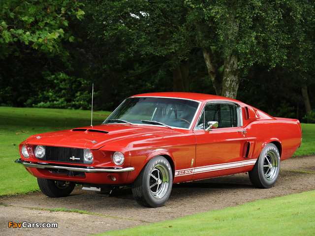 Pictures of Shelby GT500 1967 (640 x 480)
