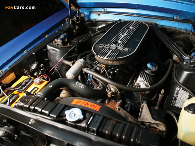 Pictures of Shelby GT350 Convertible 1968 (640 x 480)