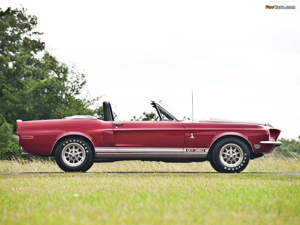 Pictures of Shelby GT350 Convertible 1968 (1024 x 768)