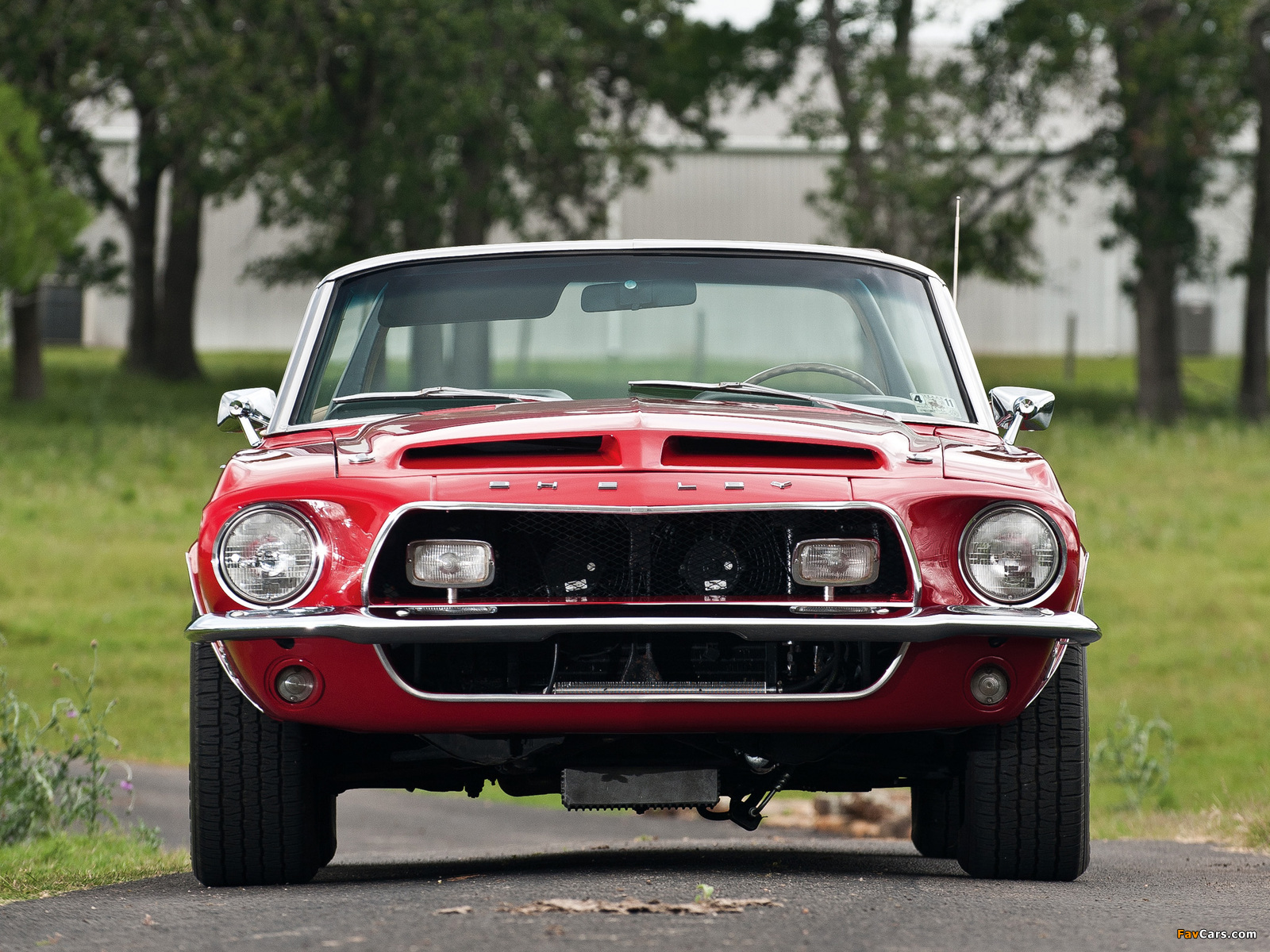 Pictures of Shelby GT500 Convertible 1968 (1600 x 1200)