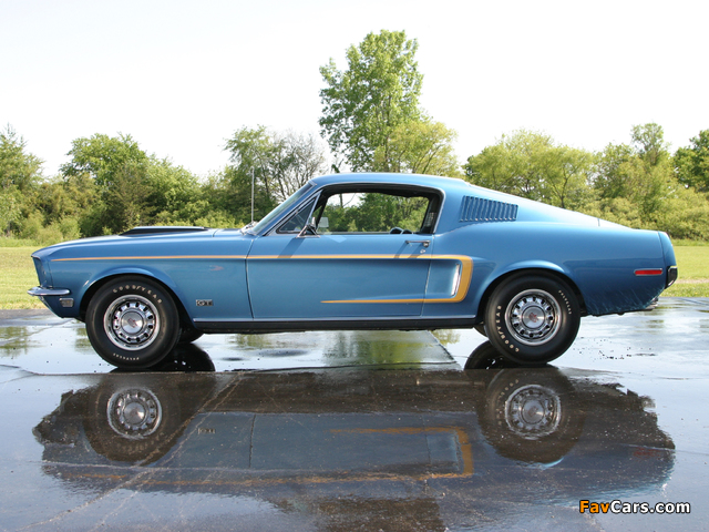 Pictures of Mustang GT 428 Cobra Jet Fastback 1968 (640 x 480)