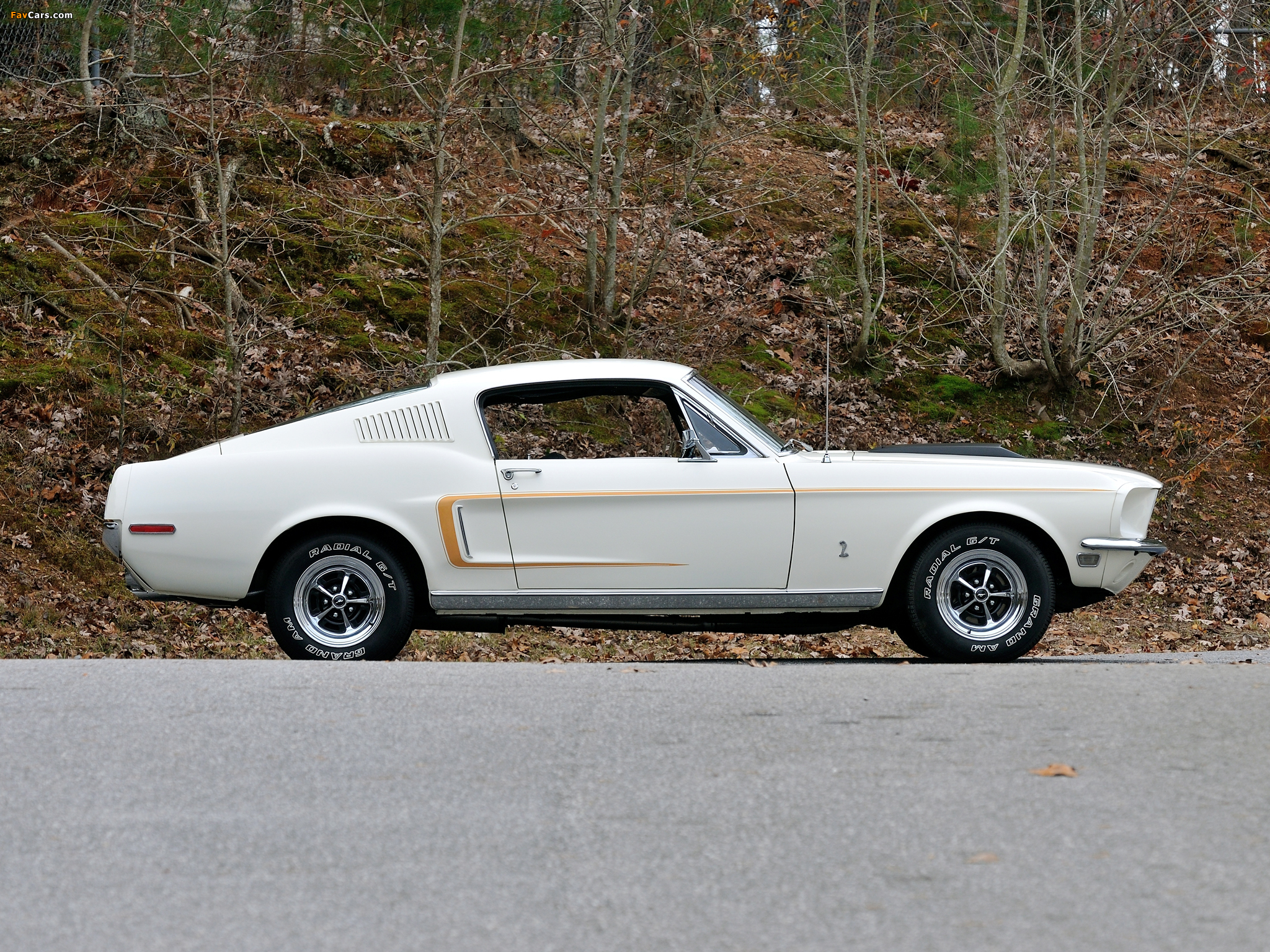 Pictures of Mustang GT 428 Cobra Jet Fastback 1968 (2048 x 1536)