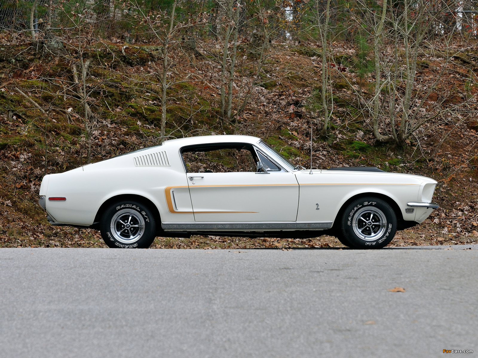 Pictures of Mustang GT 428 Cobra Jet Fastback 1968 (1600 x 1200)