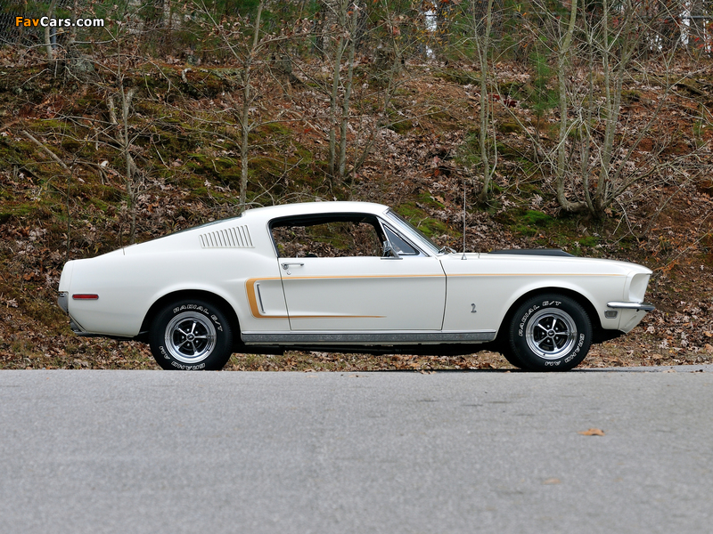 Pictures of Mustang GT 428 Cobra Jet Fastback 1968 (800 x 600)