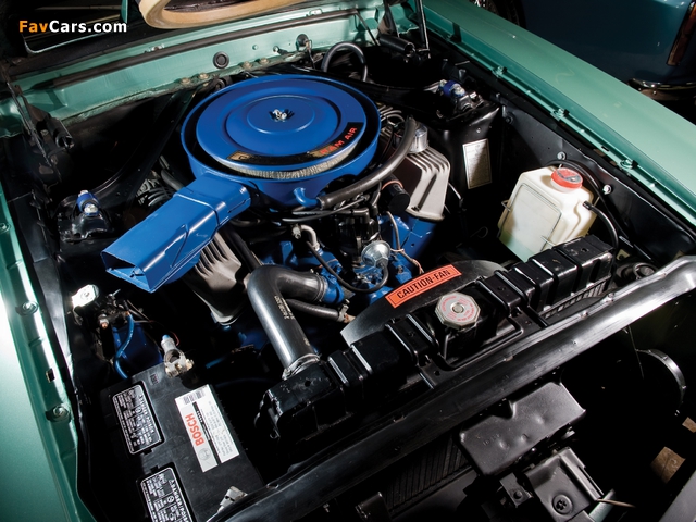 Pictures of Shelby GT500 1969–70 (640 x 480)