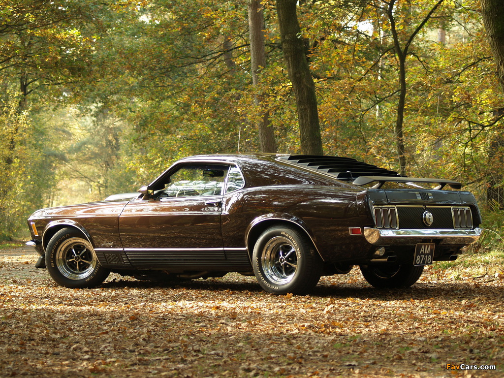 Pictures of Mustang Mach 1 1970 (1024 x 768)