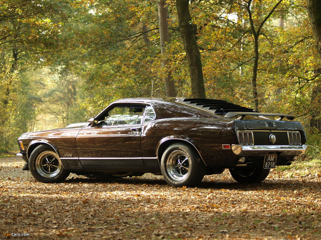 Pictures of Mustang Mach 1 1970 (1280 x 960)