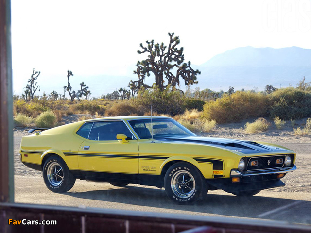 Pictures of Mustang Boss 351 1971 (640 x 480)