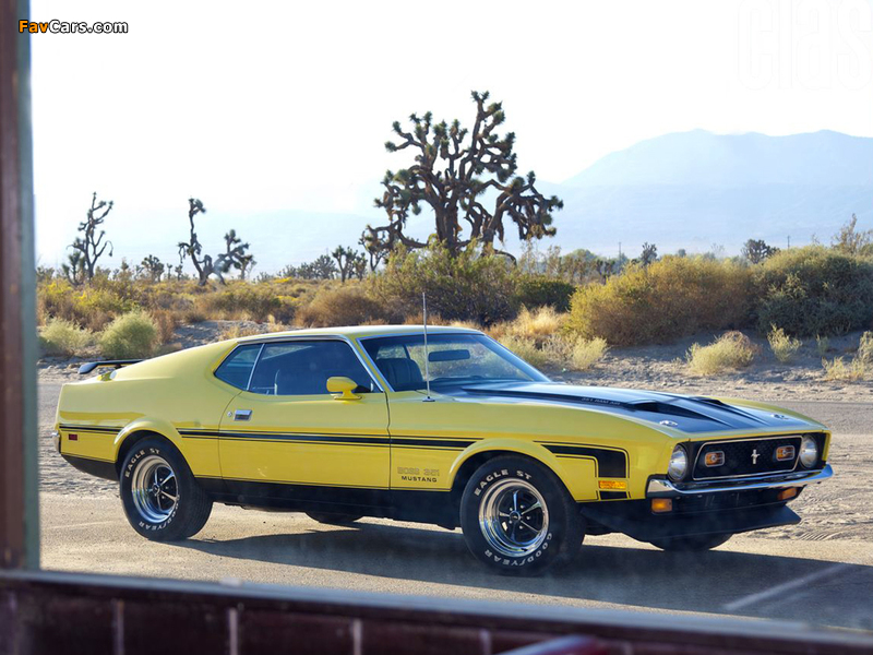 Pictures of Mustang Boss 351 1971 (800 x 600)