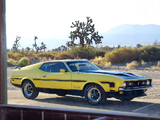 Pictures of Mustang Boss 351 1971
