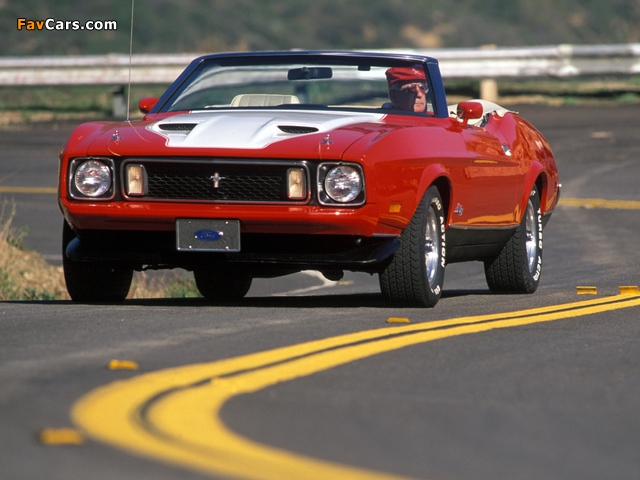 Pictures of Mustang Convertible 1973 (640 x 480)