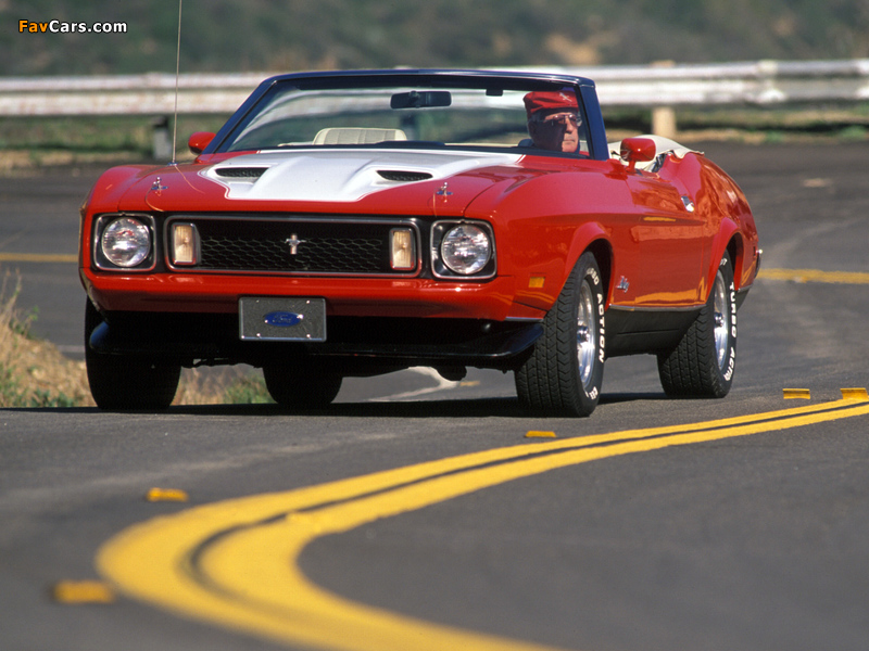 Pictures of Mustang Convertible 1973 (800 x 600)