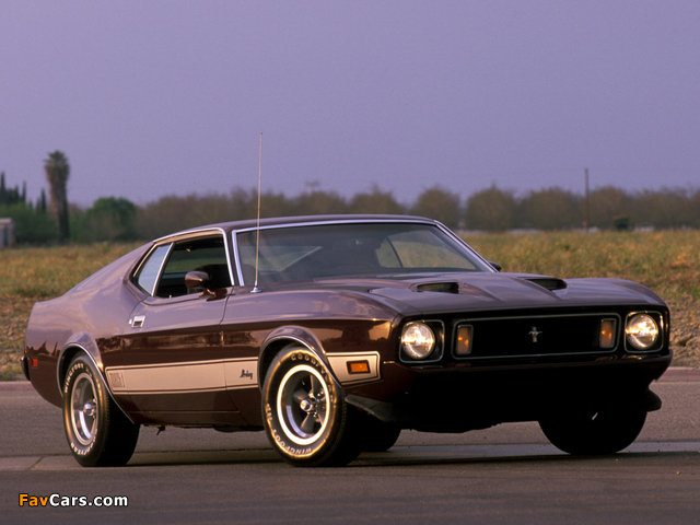 Pictures of Mustang Mach 1 1973 (640 x 480)