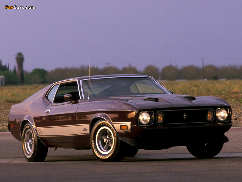Pictures of Mustang Mach 1 1973 (800 x 600)
