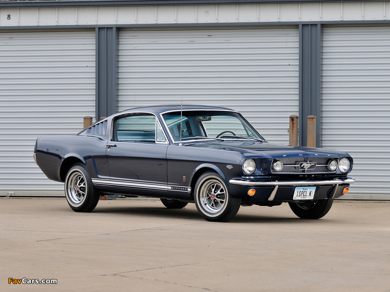 Mustang GT Fastback 1965 wallpapers (800 x 600)