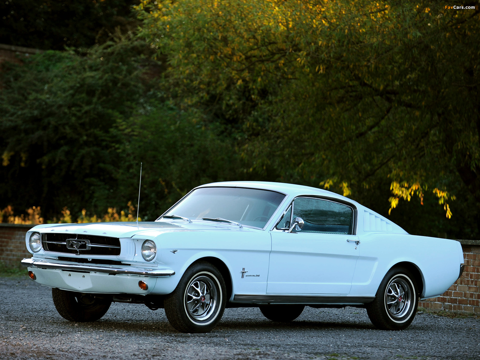 Mustang Fastback 1965 wallpapers (1600 x 1200)