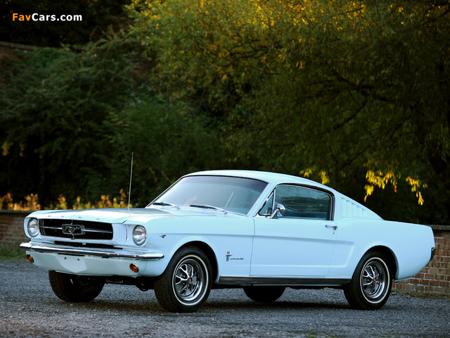 Mustang Fastback 1965 wallpapers (640 x 480)