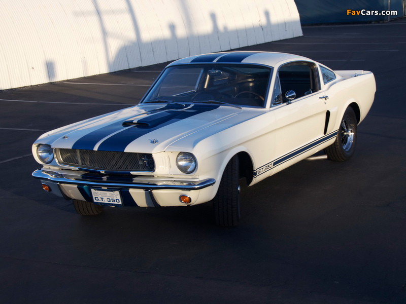 Shelby GT350 Prototype 1965 wallpapers (800 x 600)