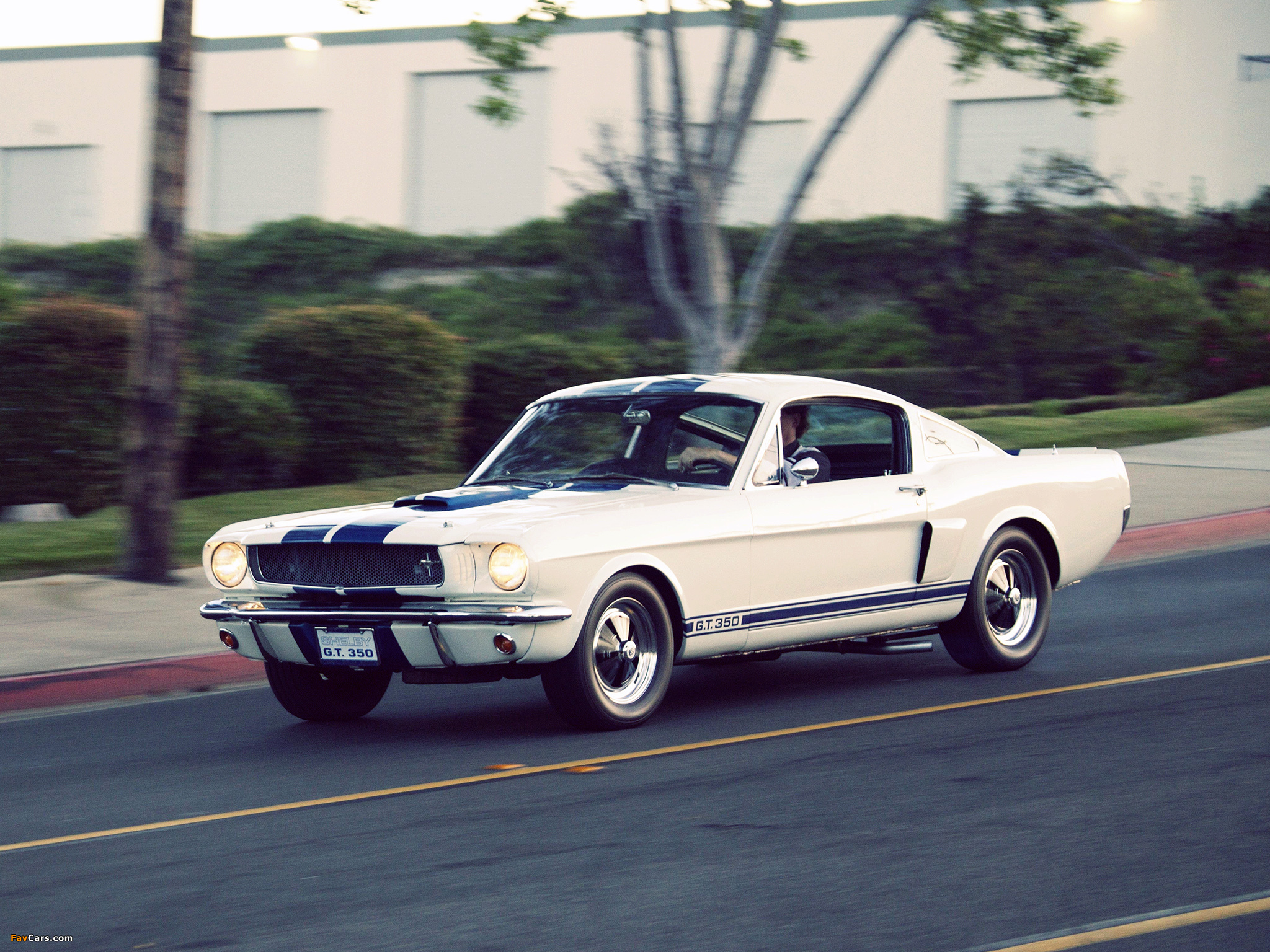 Shelby GT350 Prototype 1965 wallpapers (2048 x 1536)