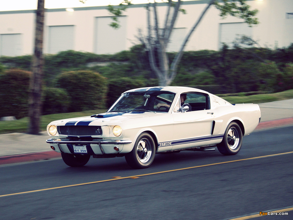 Shelby GT350 Prototype 1965 wallpapers (1024 x 768)