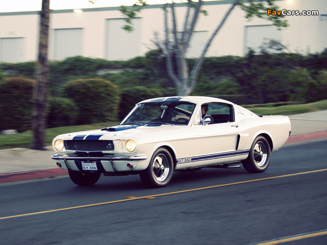Shelby GT350 Prototype 1965 wallpapers (640 x 480)