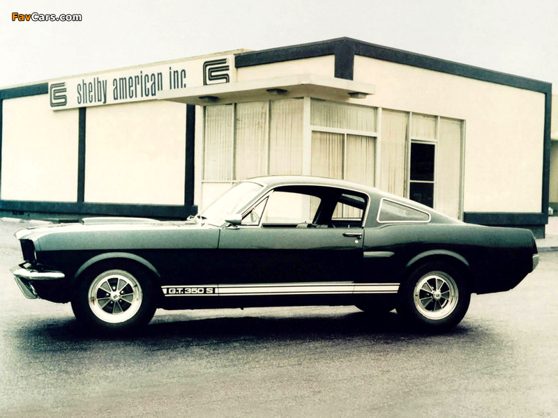 Shelby GT350S Paxton Prototype 1966 wallpapers (800 x 600)