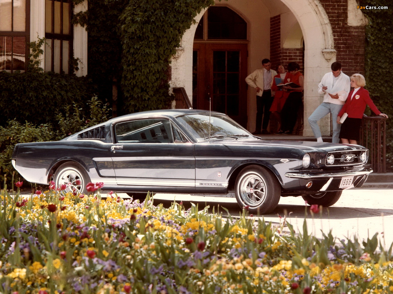 Mustang GT Fastback 1966 wallpapers (1280 x 960)