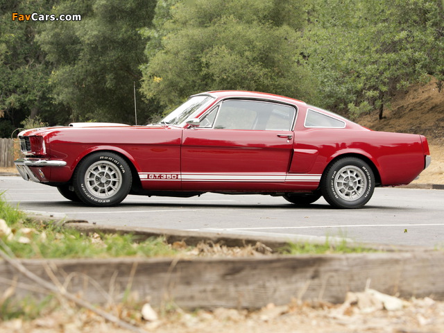 Shelby GT350 1966 wallpapers (640 x 480)