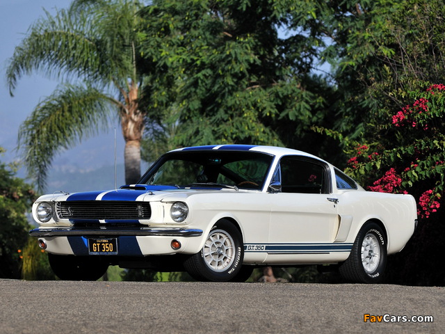 Shelby GT350 1966 wallpapers (640 x 480)