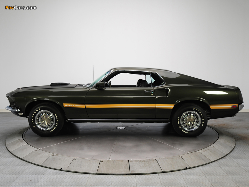 Mustang Mach 1 428 Super Cobra Jet 1969 wallpapers (800 x 600)