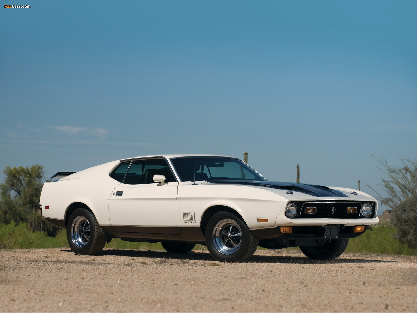 Mustang Mach 1 1971–72 wallpapers (1600 x 1200)