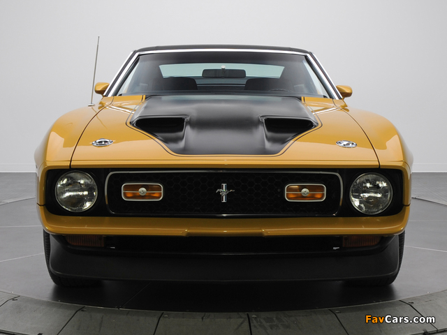 Mustang Mach 1 1971–72 wallpapers (640 x 480)