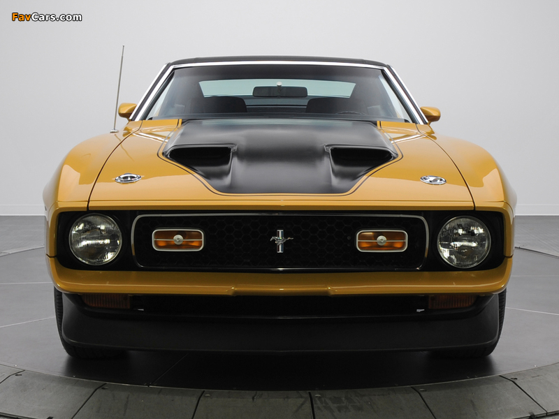 Mustang Mach 1 1971–72 wallpapers (800 x 600)