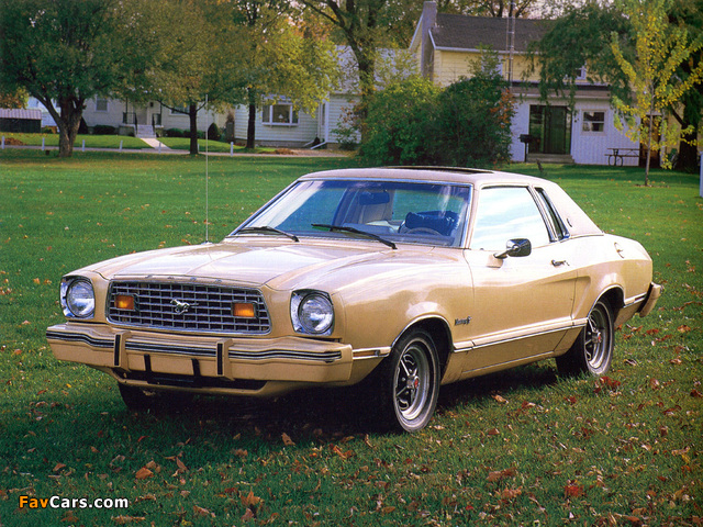 Mustang Coupe 1974–76 pictures (640 x 480)