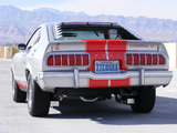 Mustang Cobra II 1976 photos