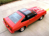 Mustang King Cobra T-Roof 1978 photos