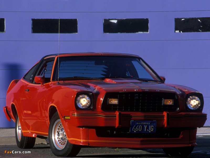 Mustang King Cobra T-Roof 1978 photos (800 x 600)