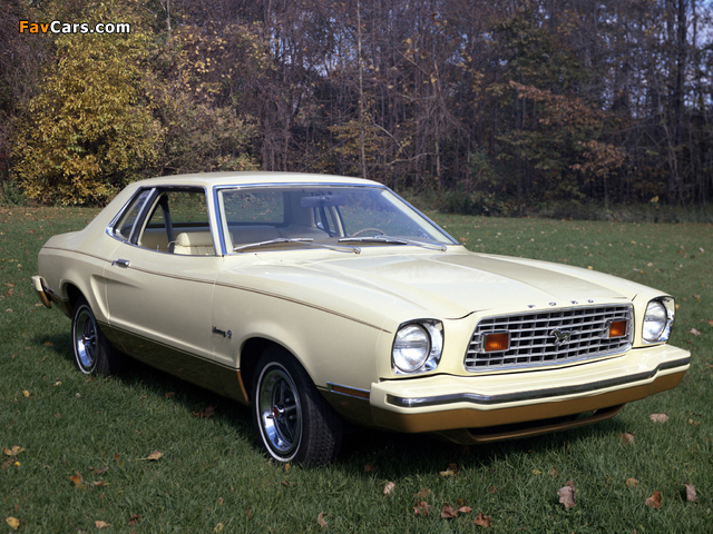 Pictures of Mustang Coupe 1974–76 (640 x 480)
