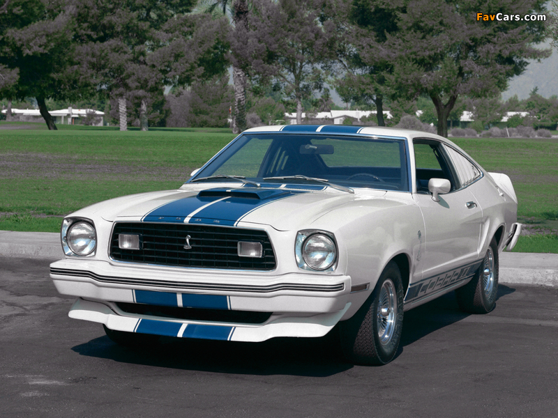 Pictures of Mustang II Cobra II 1976 (800 x 600)