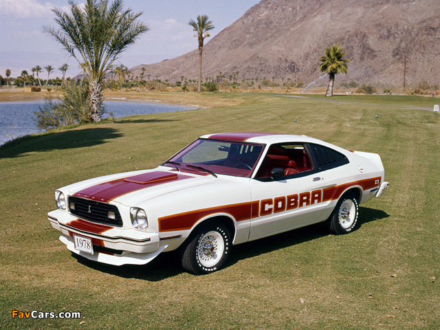 Pictures of Mustang Cobra II 1978 (640 x 480)