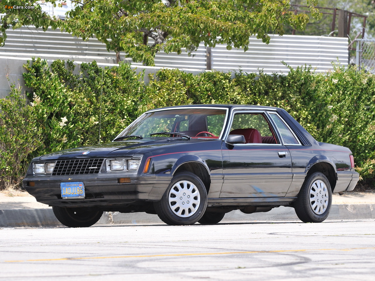 Images of Mustang Coupe 1979–82 (1280 x 960)