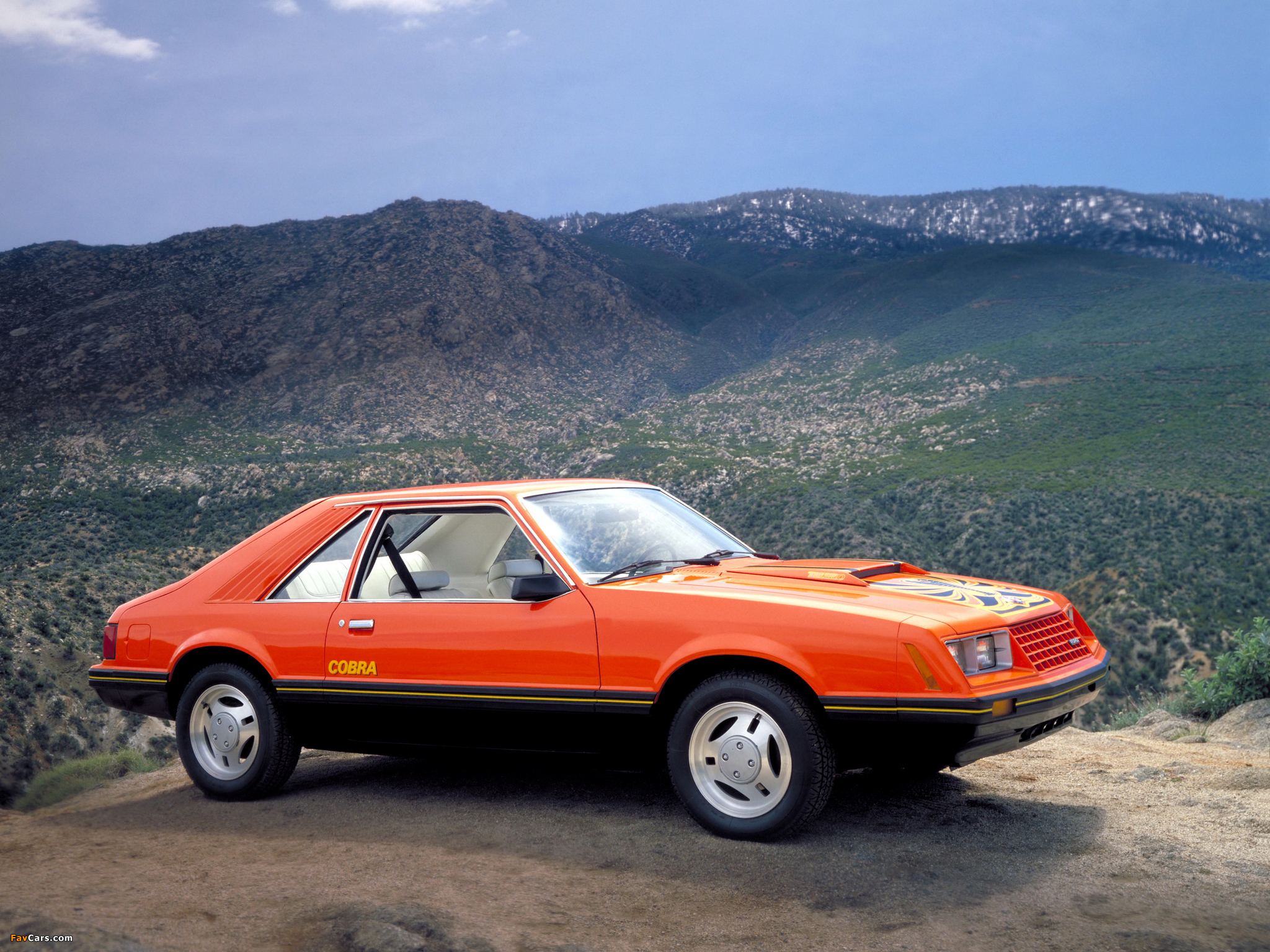 Images of Mustang Cobra 1981–82 (2048 x 1536)