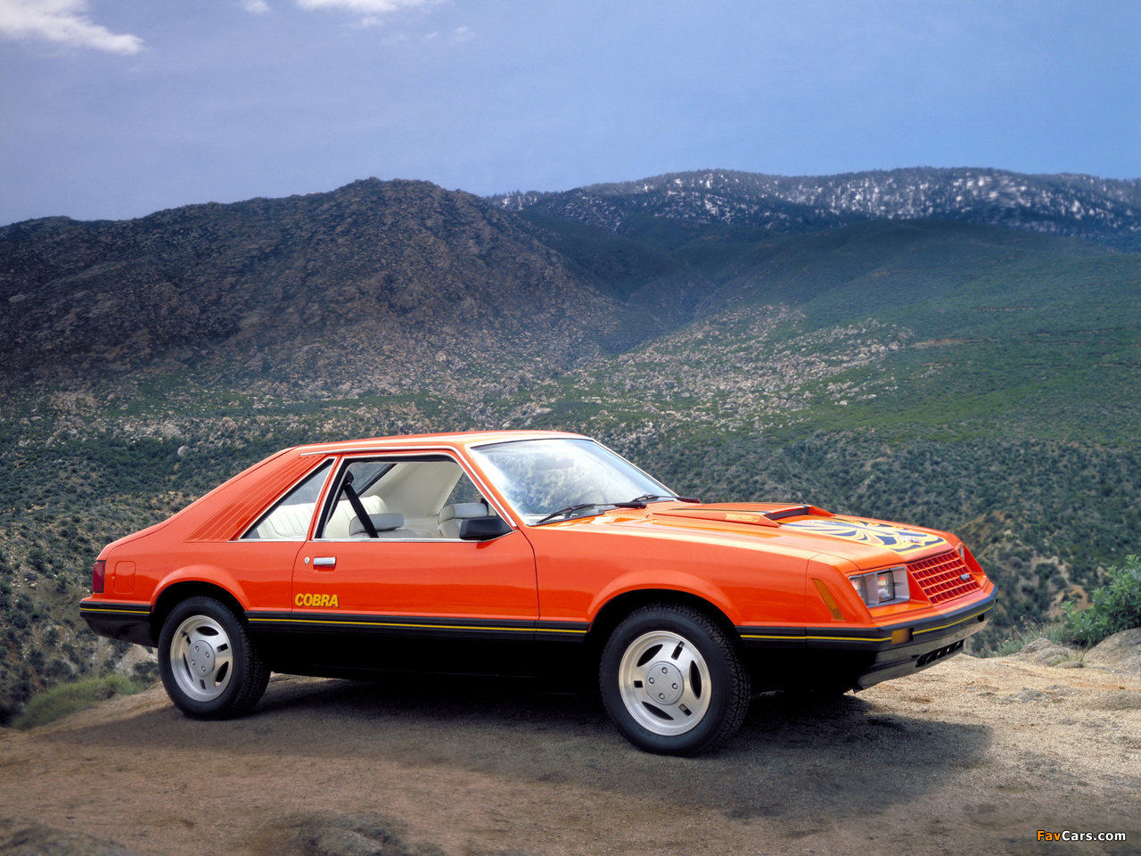 Images of Mustang Cobra 1981–82 (1280 x 960)