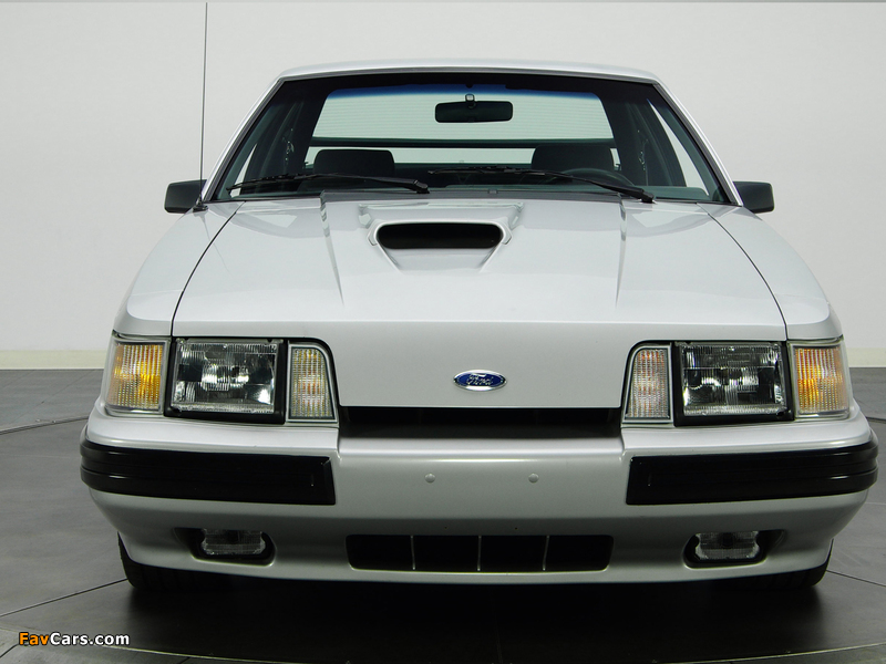 Images of Mustang SVO 1984–86 (800 x 600)