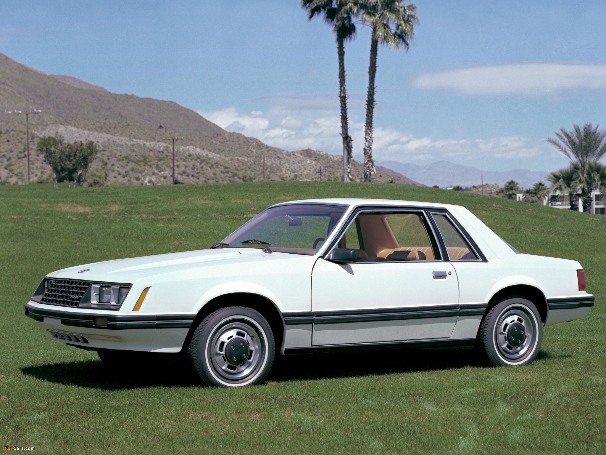 Mustang Coupe 1979–82 photos (2048 x 1536)