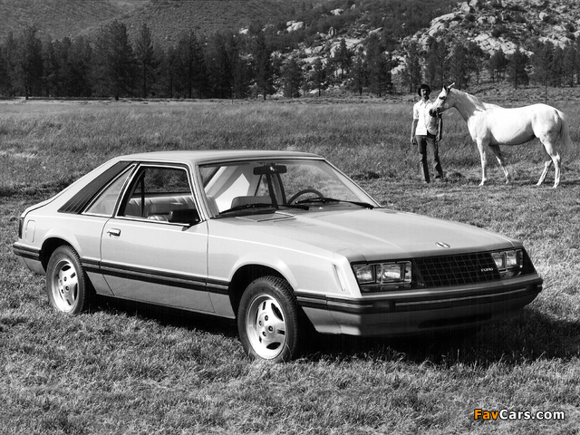 Photos of Mustang Sport 1979 (640 x 480)