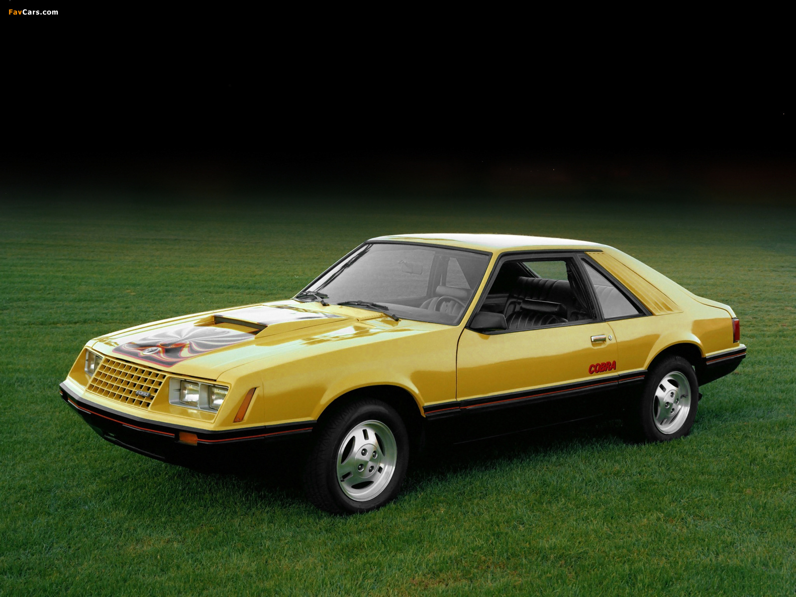 Photos of Mustang Cobra 1981–82 (1600 x 1200)